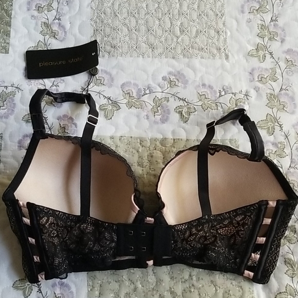 Pleasure State Daria Collection Push-up Plunge Bra - Picture 8 of 12